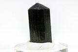 Gemmy, Sharply Terminated Green Elbaite Tourmaline - Brazil #209800-2